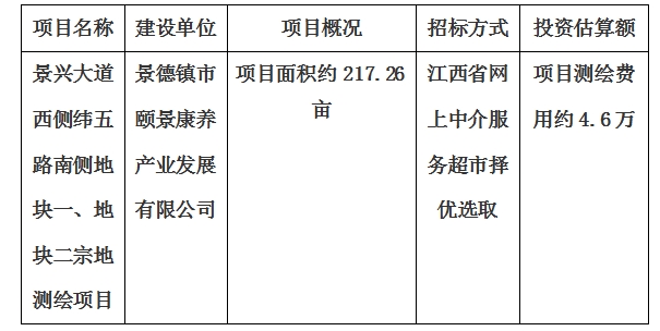 景興大道西側(cè)緯五路南側(cè)地塊一、地塊二宗地